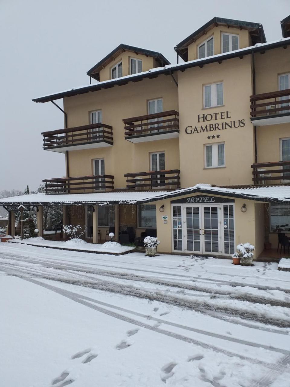 Hotel Gambrinus Аббадія-Сан-Сальваторе Екстер'єр фото